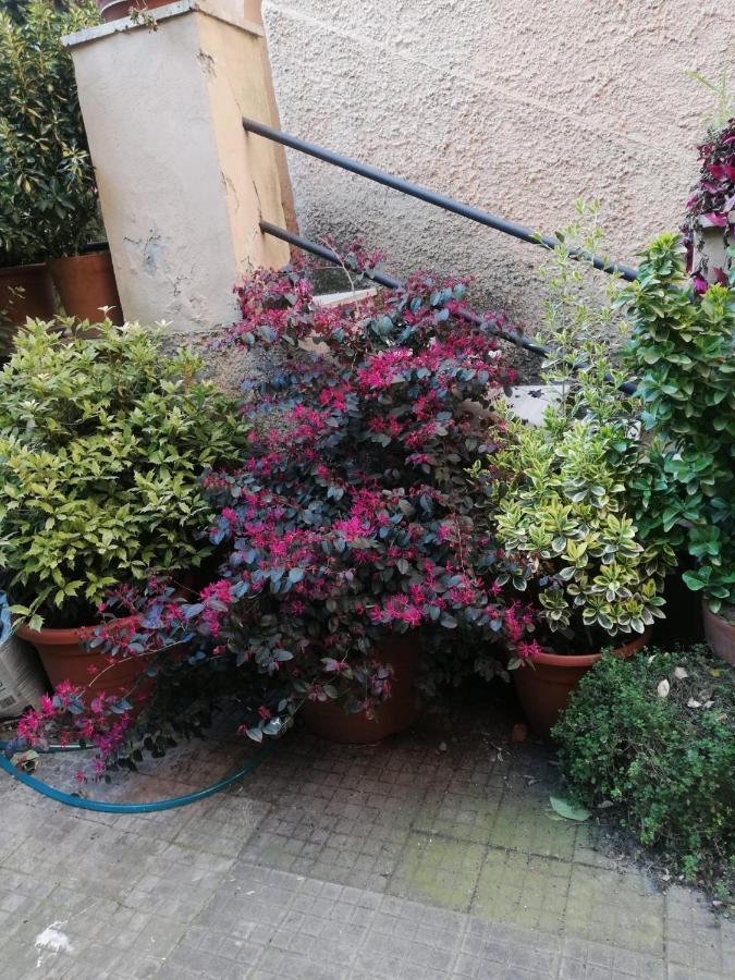 Tra Gianicolo E Trastevere Ρώμη Εξωτερικό φωτογραφία