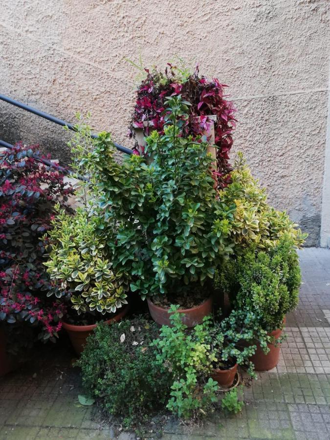 Tra Gianicolo E Trastevere Ρώμη Εξωτερικό φωτογραφία
